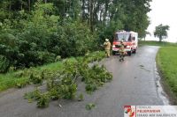 _2020-07-11 Baum über Straße__01